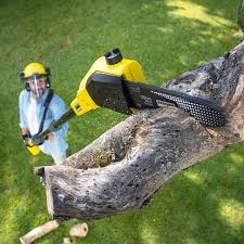 Best Tree Disease Treatment  in Rosemont, IL